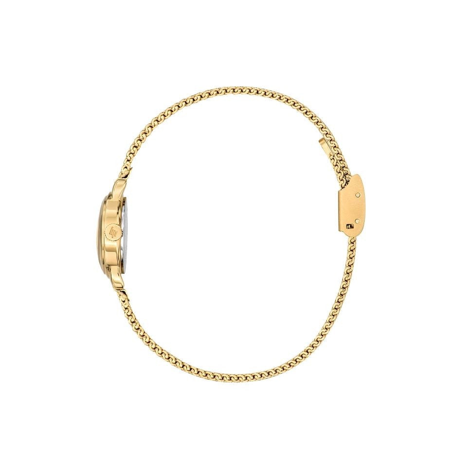 LIP : HISTORIQUE HENRIETTE