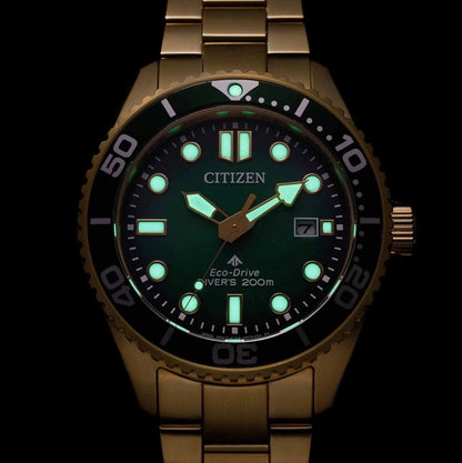 CITIZEN : PROMASTER ECO-DRIVE VERT BN0262-59W