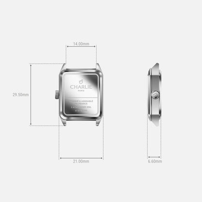 CHARLIE PARIS : MONCEAU BLANCHE & ACIER