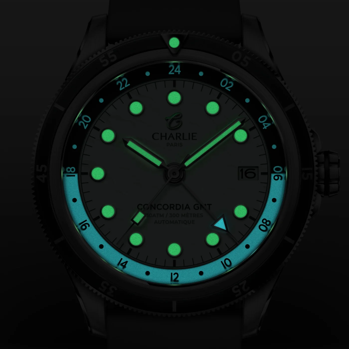 Montre Charlie Paris : Concordia GMT Automatique Toundra