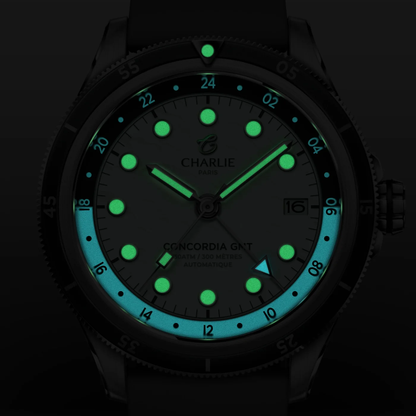 Montre Charlie Paris : Concordia GMT Automatique Toundra