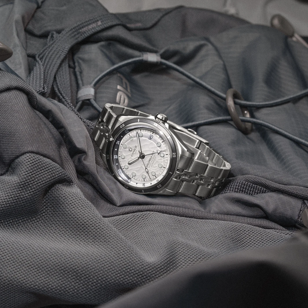 Montre Charlie Paris : Concordia GMT Automatique Toundra