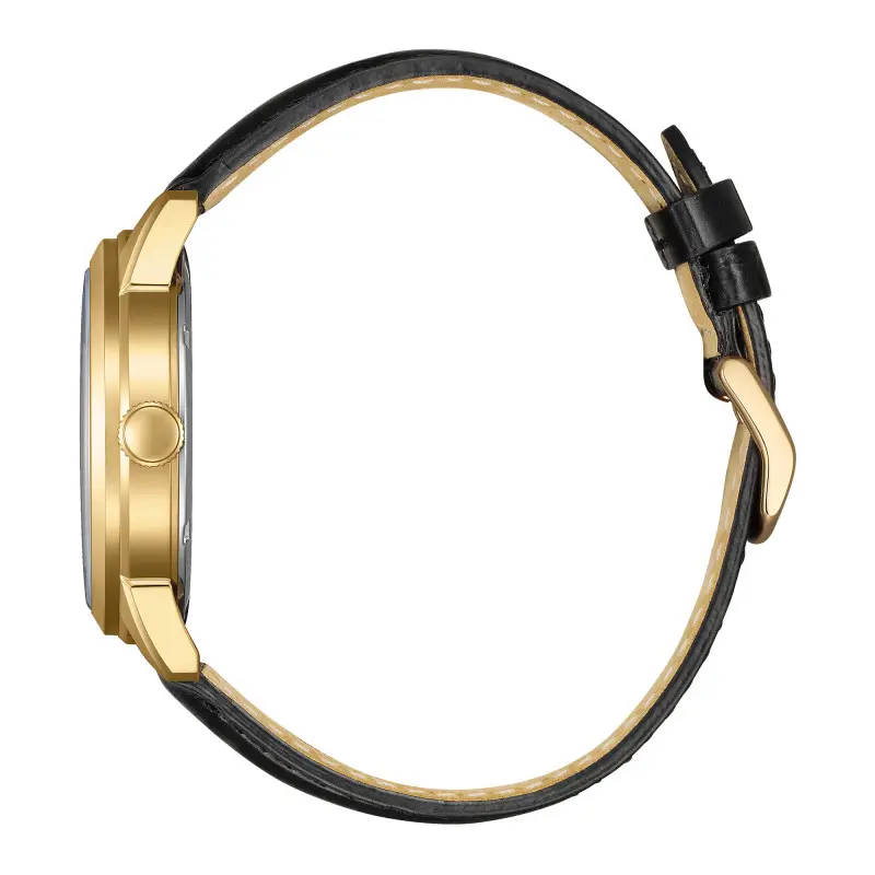 RELOJ CITIZEN: ECO-DRIVE ELEGANCE CLÁSICO ORO AW0153-04A