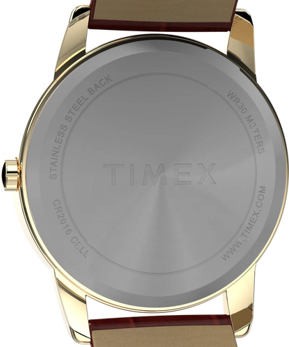Timex : Easy Reader doré blanc 35 mm, vue de présentation