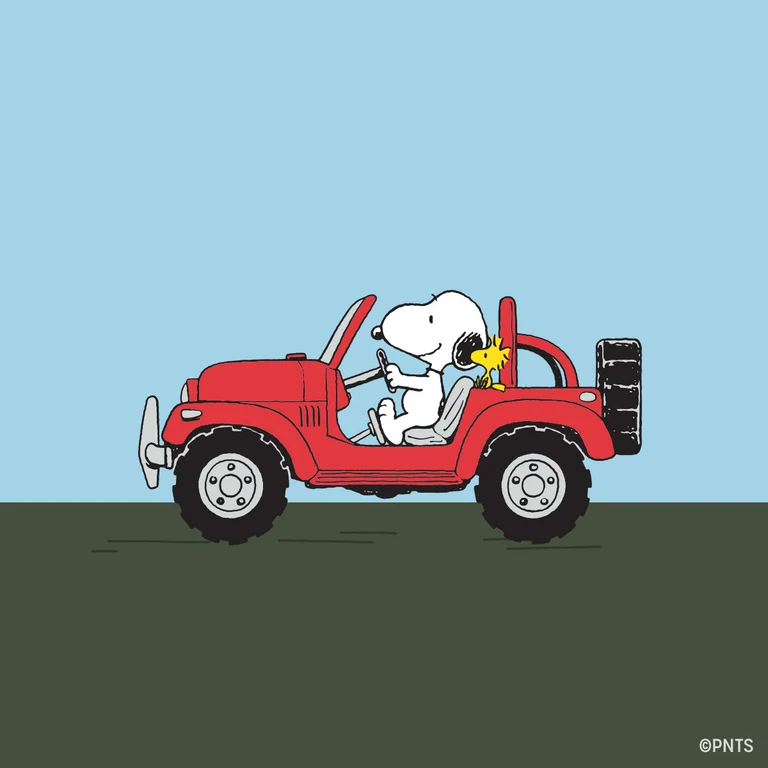 Timex : Peanuts x Timex Expedition Snoopy Road Trip vert 39 mm, vue de présentation
