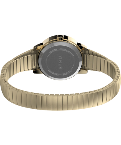Timex T2H351, vue du fond