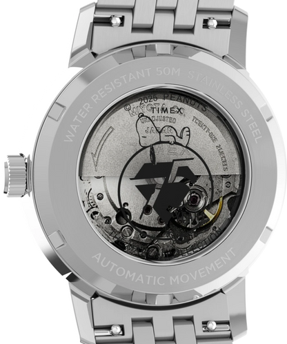 Timex TW2Y45000, vue du fond