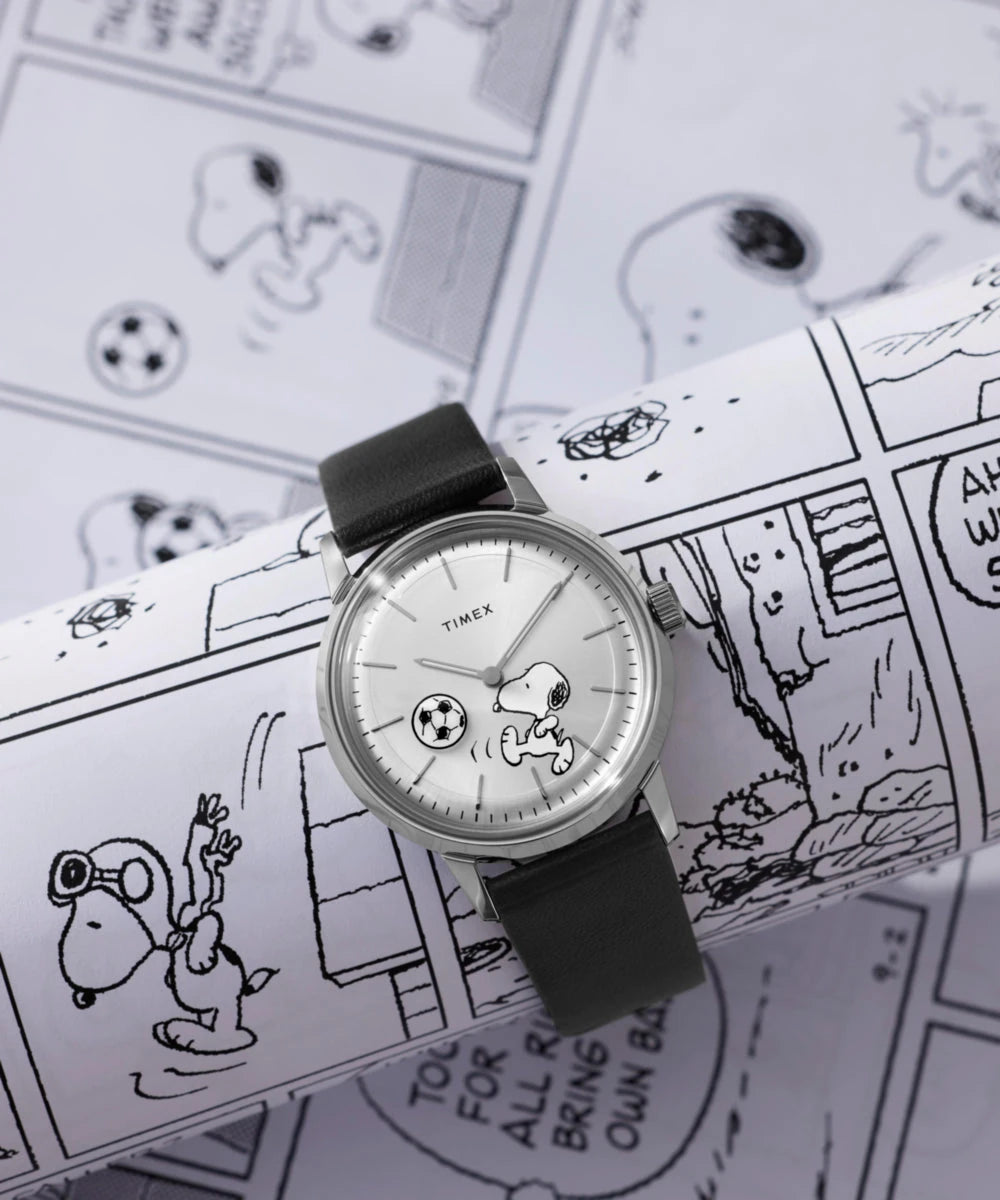 Timex TW2Y53800, vue de présentation 6